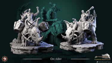 Orc Rider & Warbeast